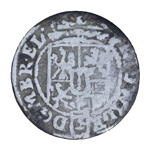 Półtorak 1685 r., Brandenburgia, Fryderyk Wilhelm