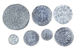 Set of 7 copies of coins of Casimir the Great