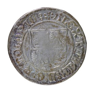 Copy of Alexander Jagiellon's Lithuanian penny