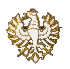 Wpinka - eagle, Poland, coat of arms from 16.07.1914.