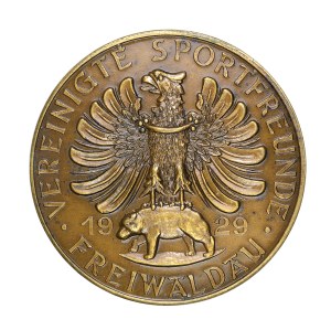 Medal - Silesia, Freiwaldan, Gozdnica, medal on the occasion of the 10th anniversary of the activities of the sports club