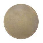 SWIDWIN. One-sided medal - Rudolf Virchow (1821-1902), medal minted in memory of Dr. Rudolf Virchow (pathologist, anthropologist, philosopher, physician, professor at the University of Berlin and Wirzburg, honorary doctor of the Jagiellonian University)