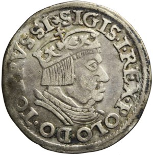 Sigismund I. der Alte, Trojak 1537, Danzig, frühere Büste
