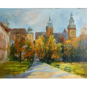 Renata Kulig-Radziszewska, Piantagioni a Wawel
