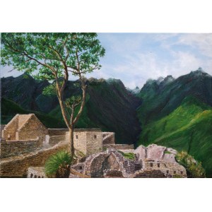 Barbara Drzemicka-Kardasz, Machu Picchu, na podstawie filmu z Internetu