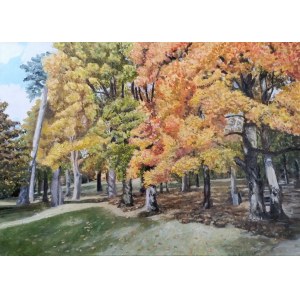 Barbara Drzemicka-Kardasz, Park na podzim,