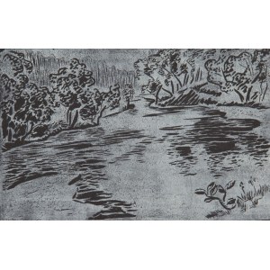 Janina Giedroyć-Wawrzynowicz (1902 - 1995 ), Świder