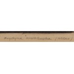 Krystyna Wróblewska (1904 - 1994 ), Stara Cerkiew w Worochcie