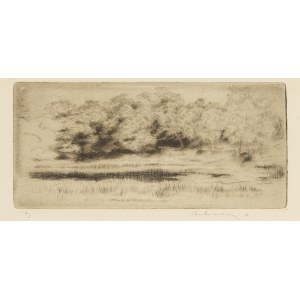 Józef Pankiewicz (1866 Lublin - 1940 La Ciotat, Francja), Staw Villebon, około 1902