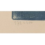 Joseph Hecht (1891 Łódź - 1952 Paryż), Mewy na niebieskim tle