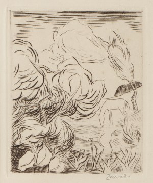 Jan Waclaw Zawadowski (1891 Skobelka in Volhynia - 1982 Aix en Provence), Garden, 1926