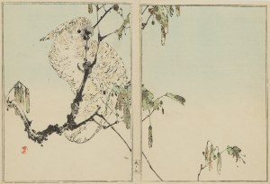 Watanabe Seitei (1852-1918), 