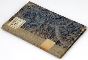 Bibliografia numizmatyczna polska Antoniego Ryszarda, Kraków 1882