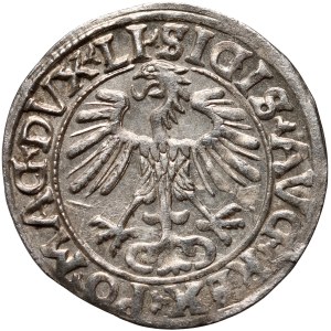 Sigismund II Augustus, half-penny 1556, Vilnius