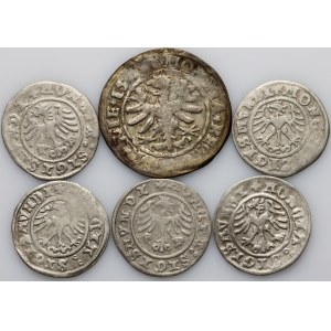 Sigismund I the Old, coin set, (6 pieces)