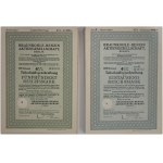 Germany, set of Braunkohle-Benzin Aktiengesellschaft 1938 (BRABAG) bonds for 500 and 1000 Reichsmark, (200 pieces)