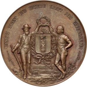 Switzerland, Shooting medal from 1891, Ebnat-Kappel