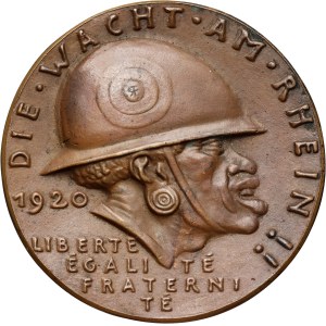 Germany, Propaganda medal from 1920, Black Shame, Goetz