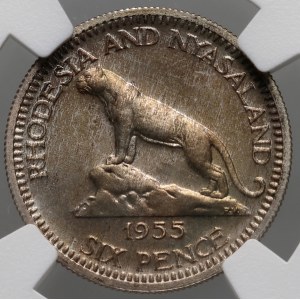 Rodézia, Alžbeta II, 6 pencí 1955, zrkadlová známka, PROOF