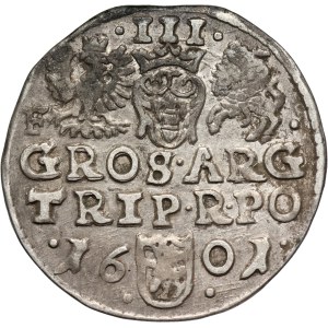 Žigmund III Vasa, trojak 1601, Wschowa