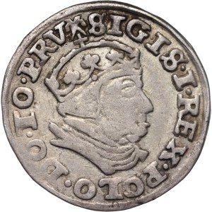 Sigismund I the Old, trojak 1540, Gdańsk
