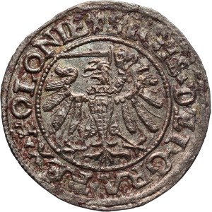 Zygmunt I the Old, 1538 shekel, Gdansk, Poland