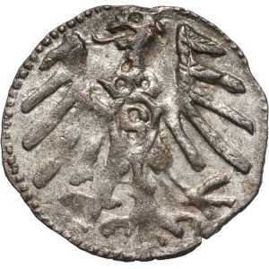 Knížecí Prusko, Albrecht Hohenzollern, denár bez data, Königsberg