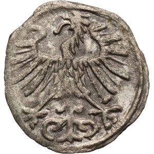 Sigismund II Augustus, denarius 1556, Vilnius