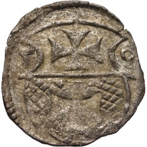 Sigismund II Augustus, denarius 1556, Elbląg