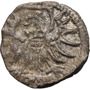 Sigismund II Augustus, denarius 1556, Elbląg