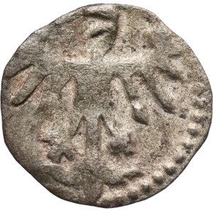Casimir IV Jagiellonian 1447-1492, denarius, Cracow