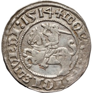 Zygmunt I Stary, półgrosz 1514, Wilno