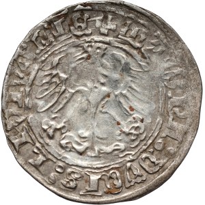 Zygmunt I Stary, półgrosz 1514, Wilno
