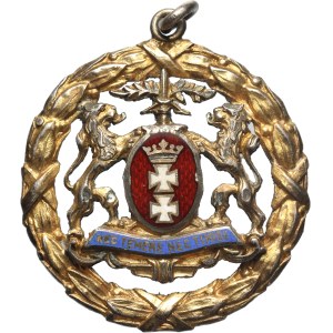 Germany, Danzig Badge