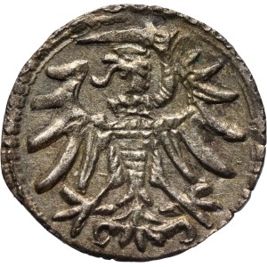 Sigismund II Augustus, denarius 1554, Gdańsk