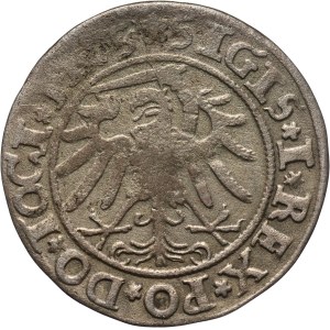 Sigismund I the Old, penny 1534, Elbląg