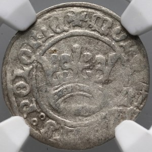 Alexander Jagiellonian 1501-1506, halber Pfennig, Krakau