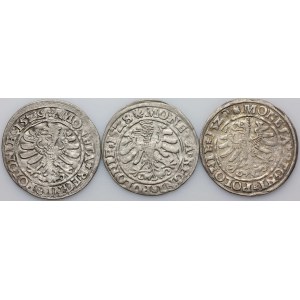 Sigismund I the Old, set of pennies dated 1528-1529, Cracow, (3 pieces)