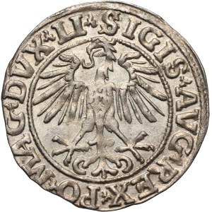 Sigismund II Augustus, half-penny 1551, Vilnius