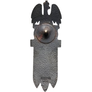 PSZnZ, Infantry Rifle Division Badge