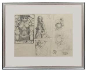 Franciszek Starowieyski(1930 - 2009), Female nudes