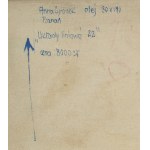 Anna Cyronek-Kalinowska (1919 Częstochowa - 2008 Poznań), Układy liniowe 22