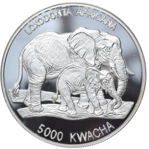 Zambia, 5000 kwacha, 1999, elefante, rarità