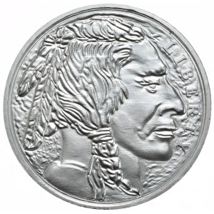 USA, bizon, 1 oz., 2 szt.
