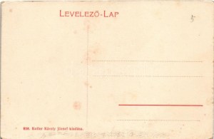 Balatonfüred, a tihanyi félszigettel. A polgári iskola épülete (1906) már áll, de a vasút még nem épült meg...