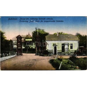 1923 Budakeszi, József főherceg tüdőbeteg katonák otthona, útépítési gépek. K. J. Bp. 1918/22. (EK...