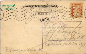 1915 Budapest, látkép Budáról a Dunával. Szecessziós magyar zászlós és címeres keret, Art Nouveau (EK...