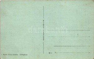 Budapest III. Csillaghegy, Mátyás király út. Baukó János kiadása (fl)