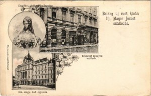 1902 Budapest V. Erzsébet királyné szálloda, Erzsébet királyné (Sisi) mellszobra, Kir. magy. tud. egyetem, ifj...