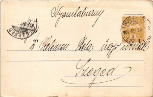 1902 Budapest V. Erzsébet királyné szálloda, Erzsébet királyné (Sisi) mellszobra, Kir. magy. tud. egyetem, ifj...